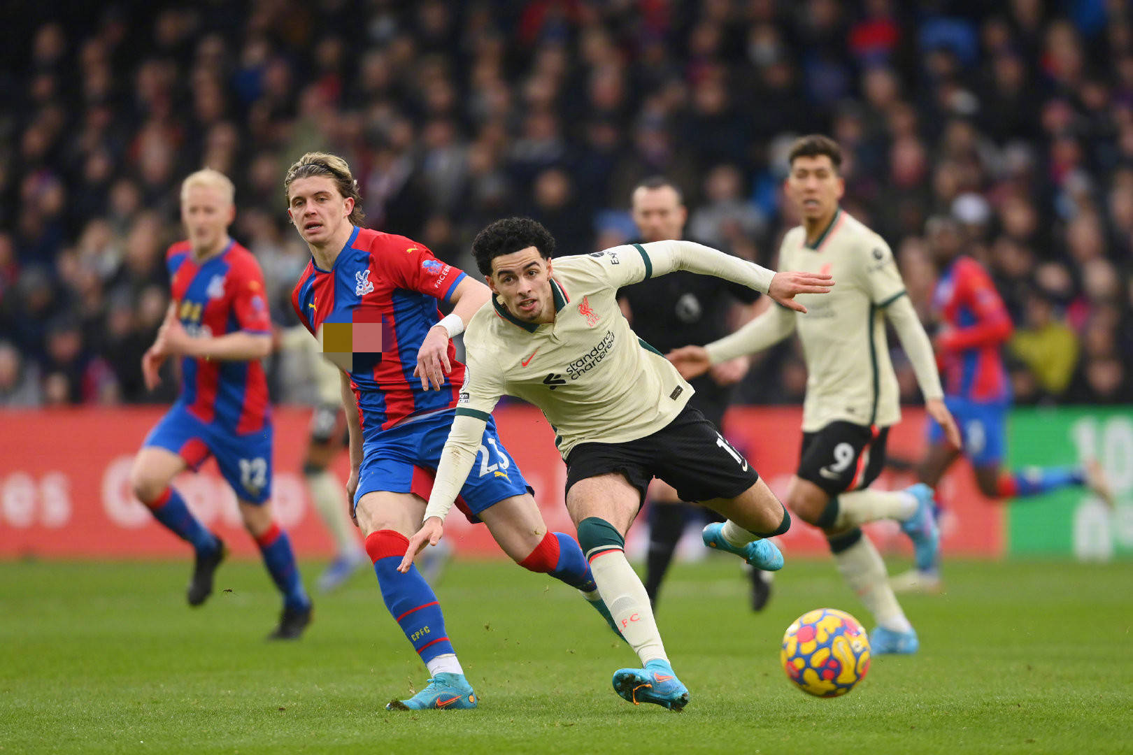 展现了对本 展现了对本