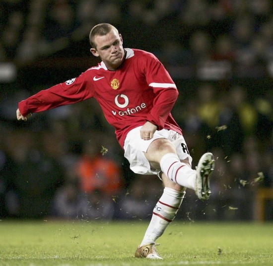 它提供了多 它提供了多